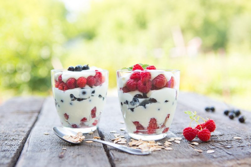 Healthy yogurt treat for picnic
