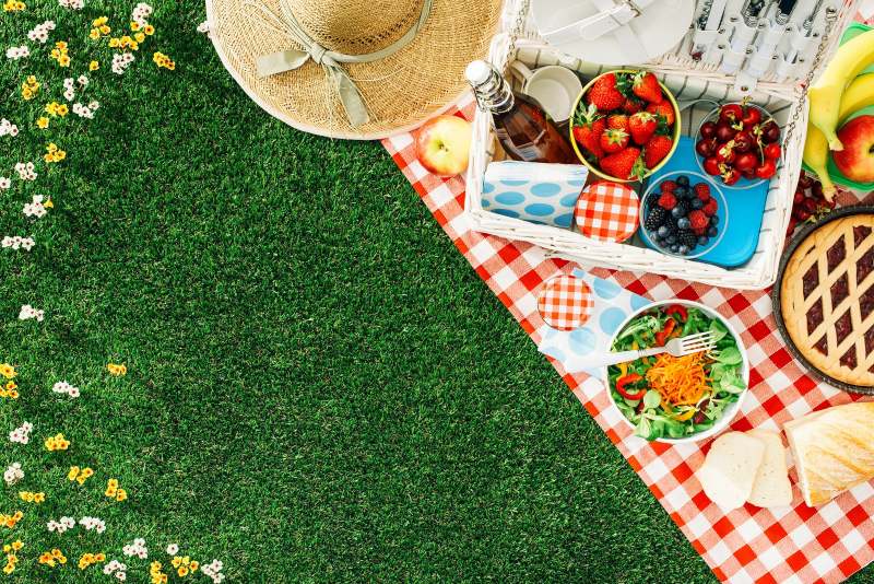 Здоровый пикник с фруктами и салатом