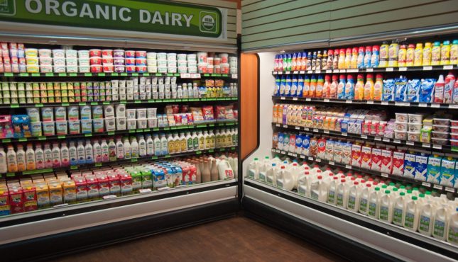 СтейтенАйленд_2 СтейтенАйленд_2